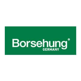 Borsehung